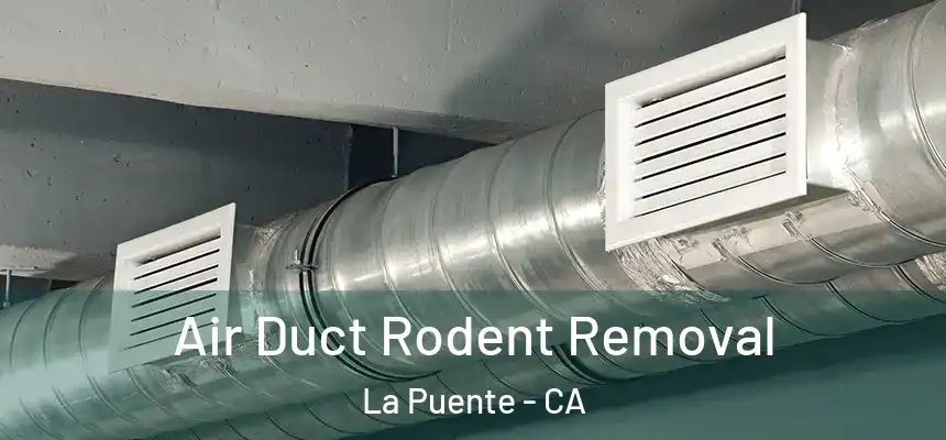  Air Duct Rodent Removal La Puente - CA