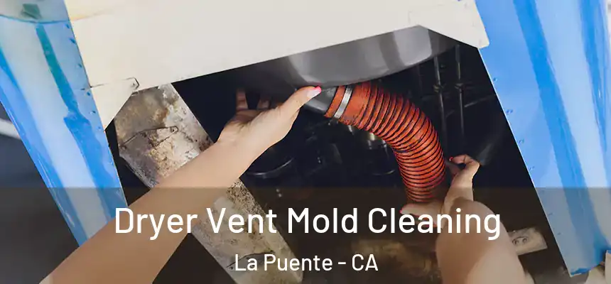  Dryer Vent Mold Cleaning La Puente - CA