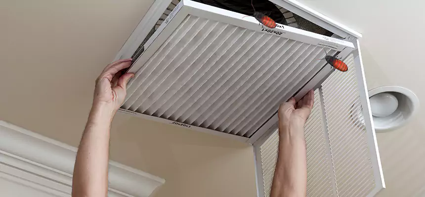 Preventive Cockroach-Proofing for Ducts in La Puente