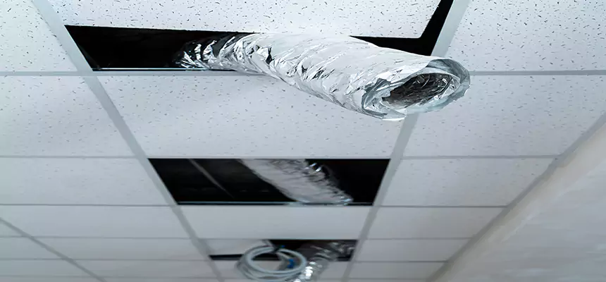 Affordable HVAC Sanitizing After Pest Removal in La Puente