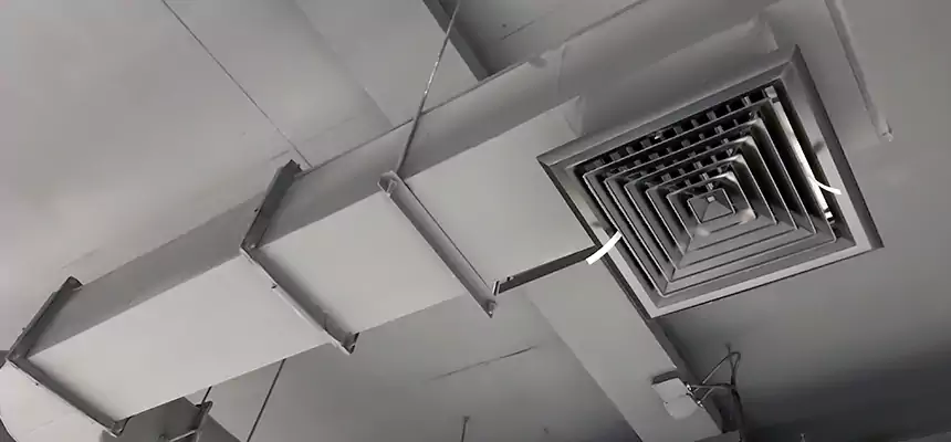 Our Pest Removal From Ducts Services in La Puente, CA