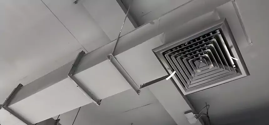 Our Rodent Droppings In Vents Services in La Puente, CA