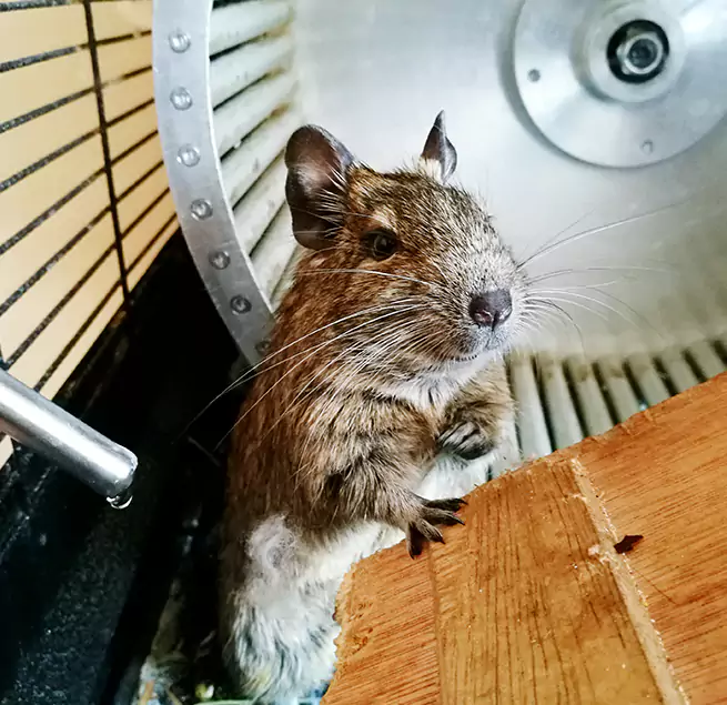 Why Homeowners & Businesses Trust Us La Puente, CA